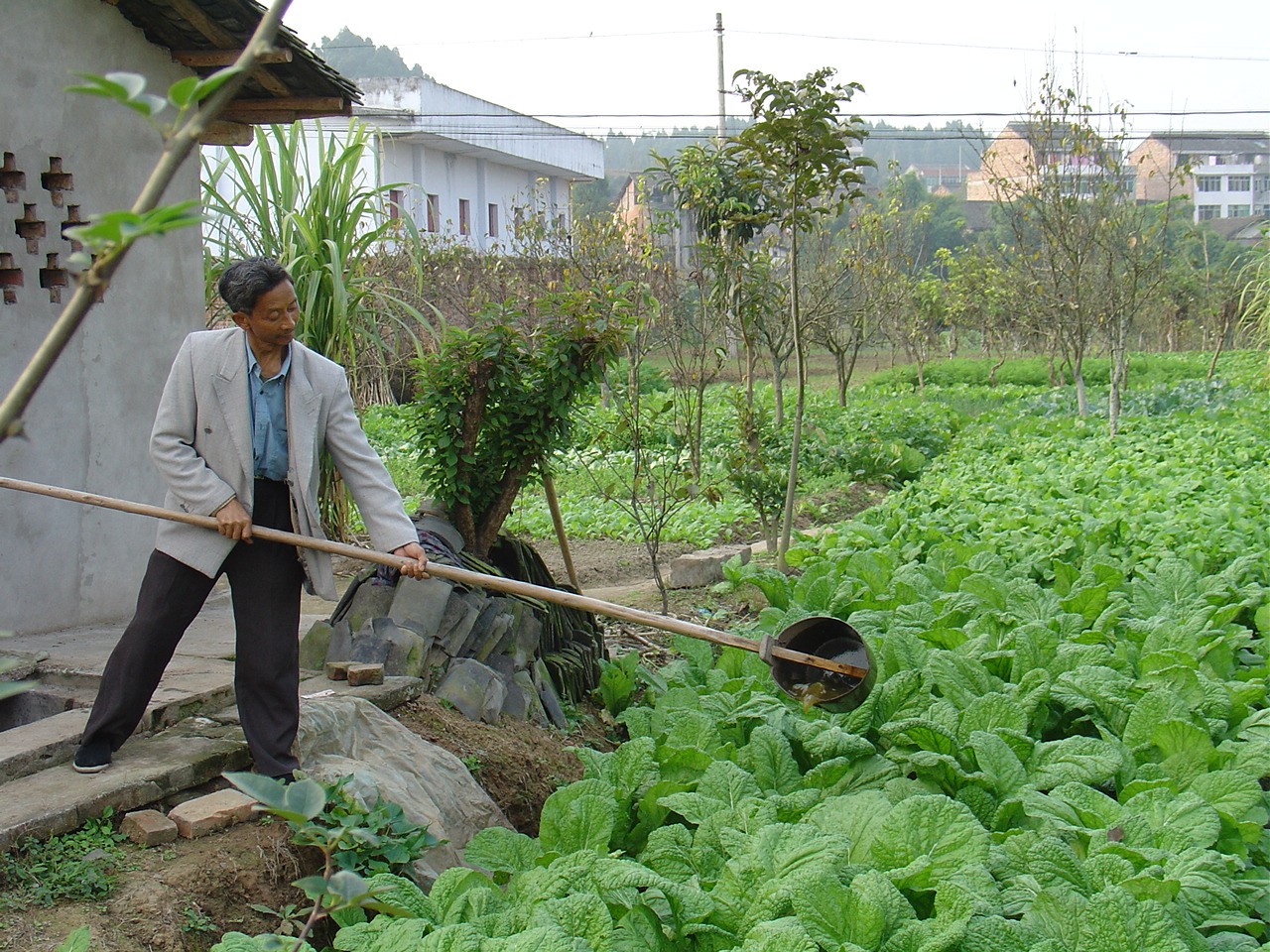 German State of Hesse buys Gold Standard CERs from UPM’s Sichuan Household Biogas PoA to offset GHG emissions from 2019 business travels