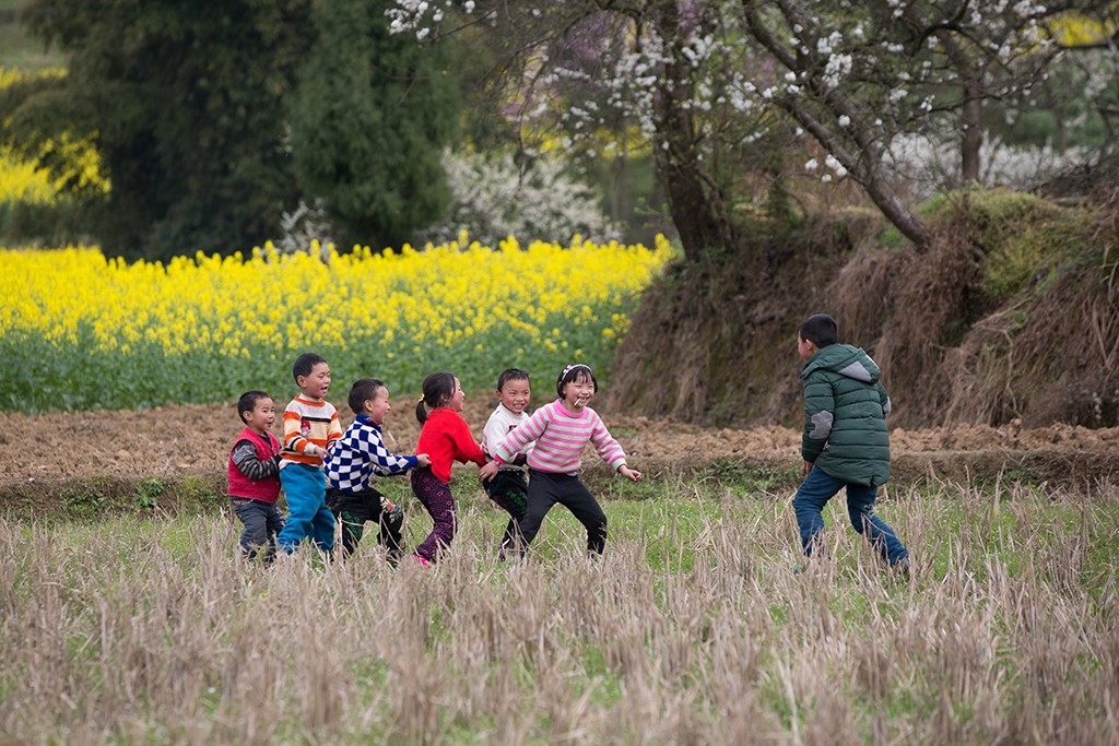 UPM’s Sichuan Household Biogas PoA avoids 2 Million Tons of GHG Emissions