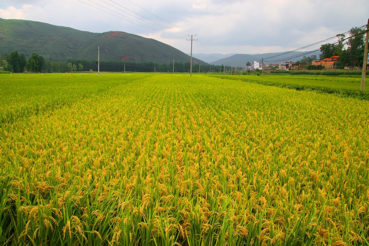 UPM takes part in EcoAct’s Cap COP21 Climate Innovation Day