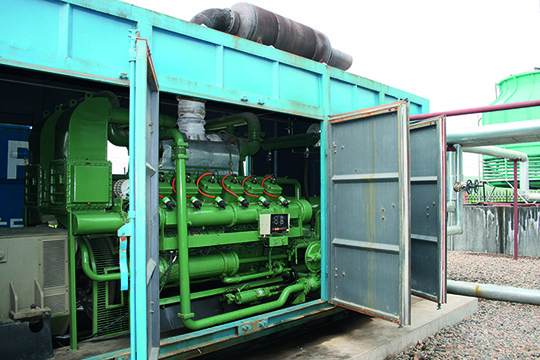 Luohe Landfill Gas CDM Project