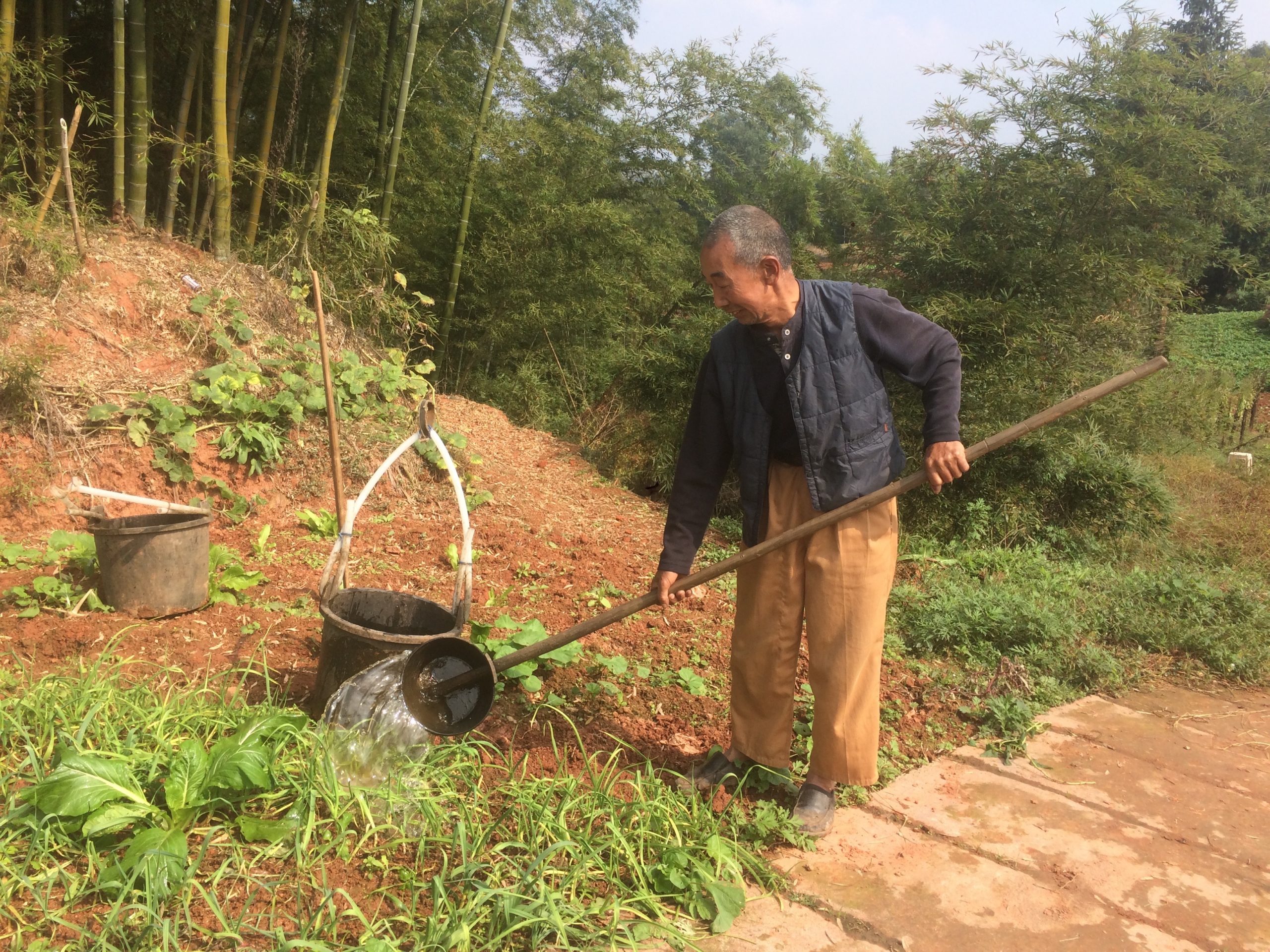 New McKinsey report confirms the importance of UPM’s Sichuan Household Biogas PoA for reducing GHG emissions from agriculture