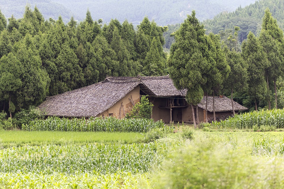 UPM obtains Gold Standard for its Sichuan Rural Poor-Household Biogas PoA