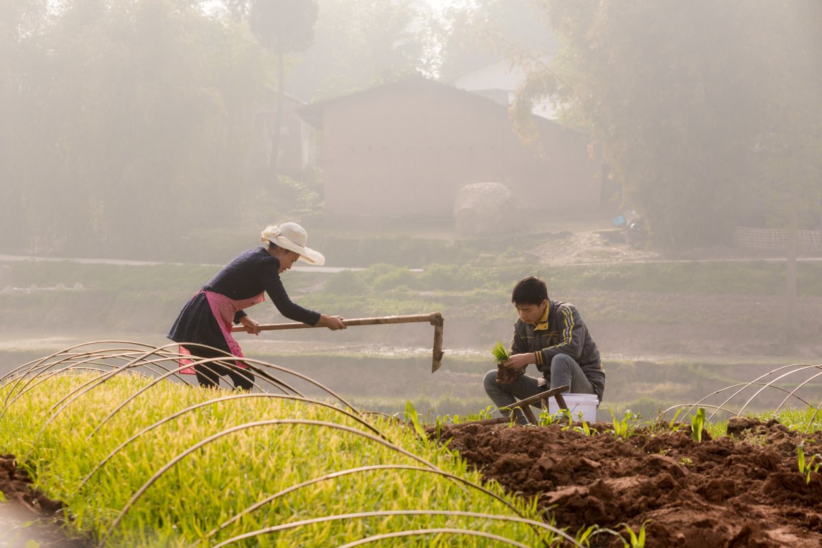 UPM’s Sichuan Household Biogas Programme is the first ever to be certified under the new Gold Standard for the Global Goals