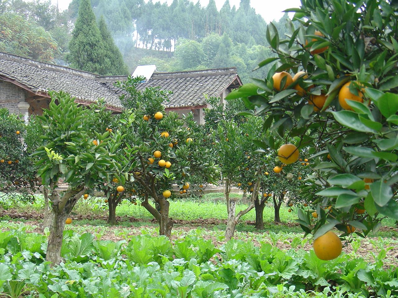 UPM sales first CCERs at the opening of the Sichuan United Environment Exchange