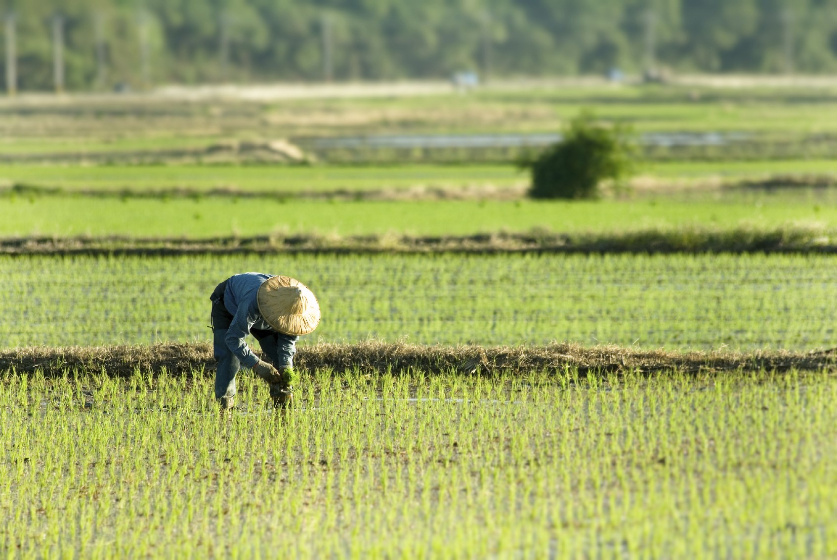 UPM rolls out Independent Scientific Study on the Co-Benefits of its Sichuan Household Biogas PoA