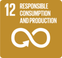 Responsible Production and Consumption