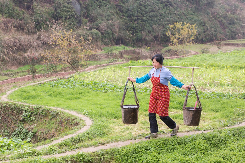 Reaching a new Milestone for the promotion of climate change mitigation and the SDGs: UPM Sichuan Household Biogas PoA avoids 3 Million Tons of GHG Emissions